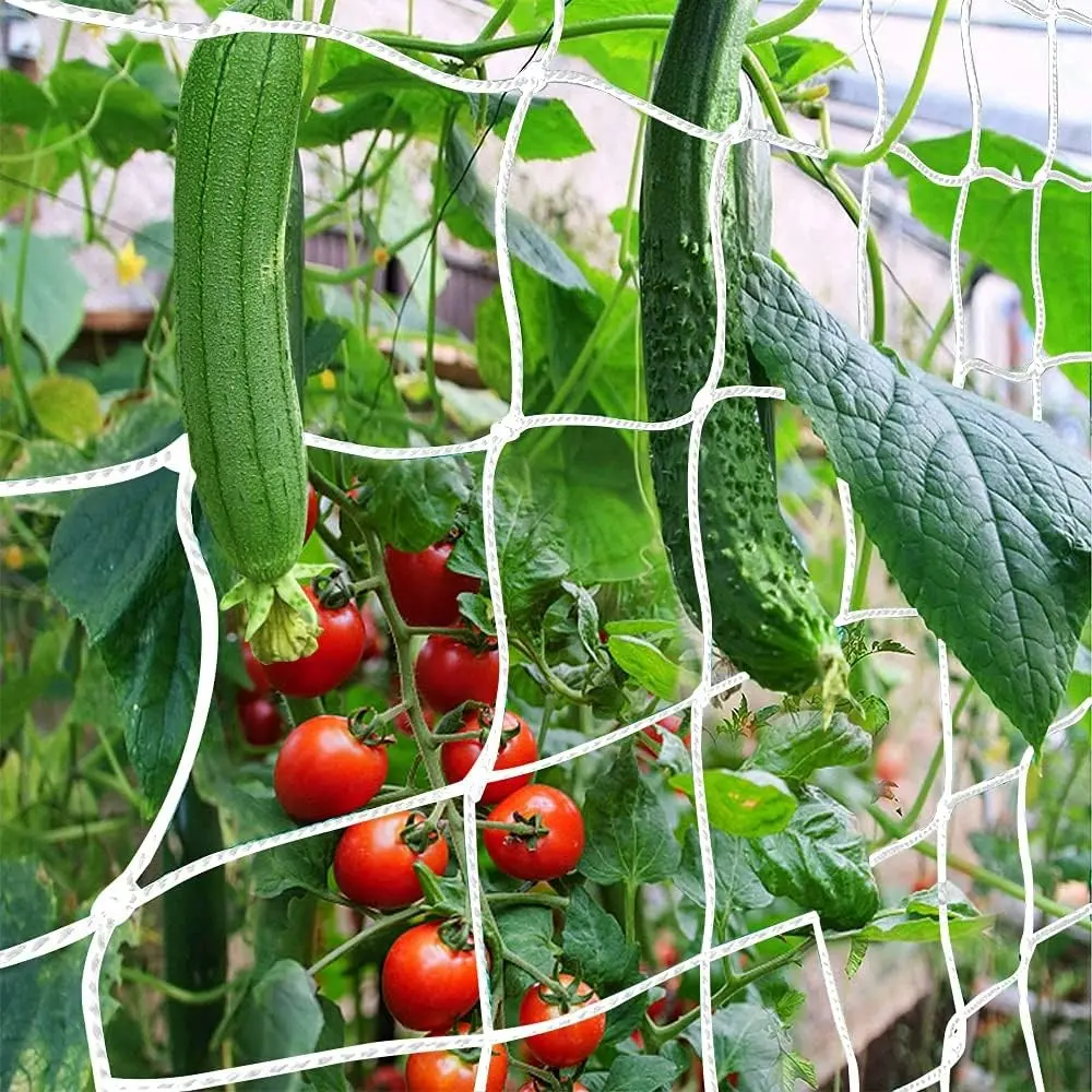 Trellis Netting, Heavy-Duty Garden Plant Trellis Netting for Climbing Plants, Outdoor Indoor Grow Net for Beans Tomatoes Peas Pumpkin Flowers, 6x15ft, Pack of 2