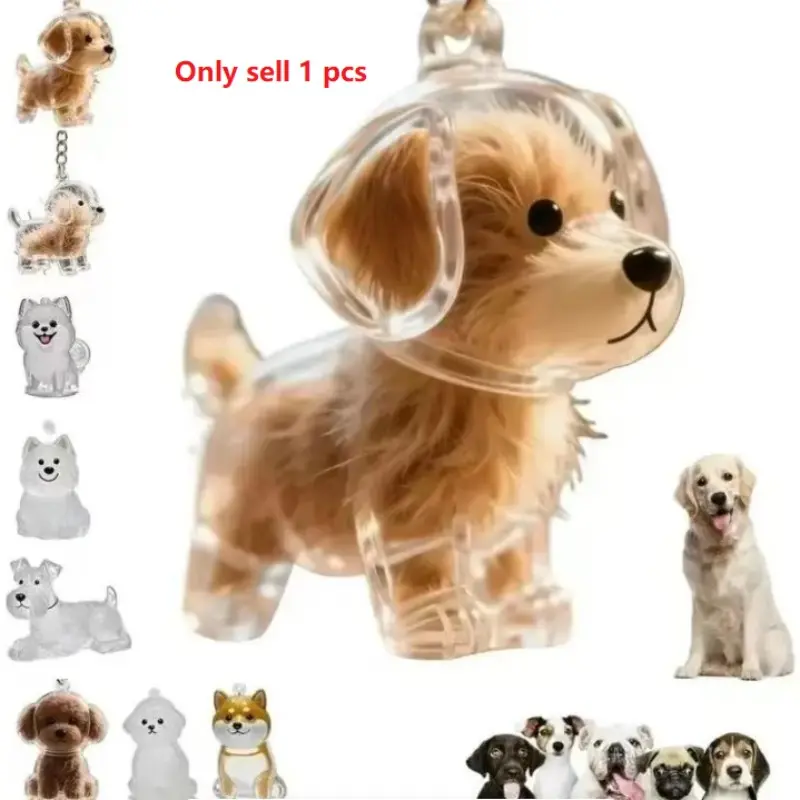 Pet Hair Clip Cute Puppy Hair Transparent Storage Box, Creative Accessory, Aesthetic Keychain, Dog Hair Storage Capsule Keychain Pendant, Animal Keychain, Key Chain Accessories – Carry Your Pup's Love Everywhere!