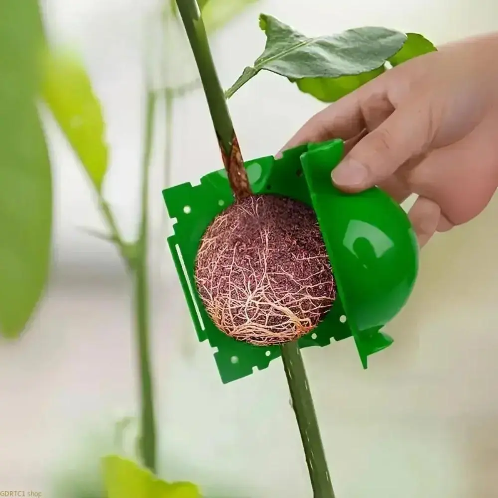 2026 New 20Pcs Plant Rooting Propagation Balls Hand Tools Kit - High-Pressure Air Layering Grafting Device, Efficient Root Generation Supplies for Garden Enthusiasts, Enhancing Success Rates, Resisting Wear and Tear