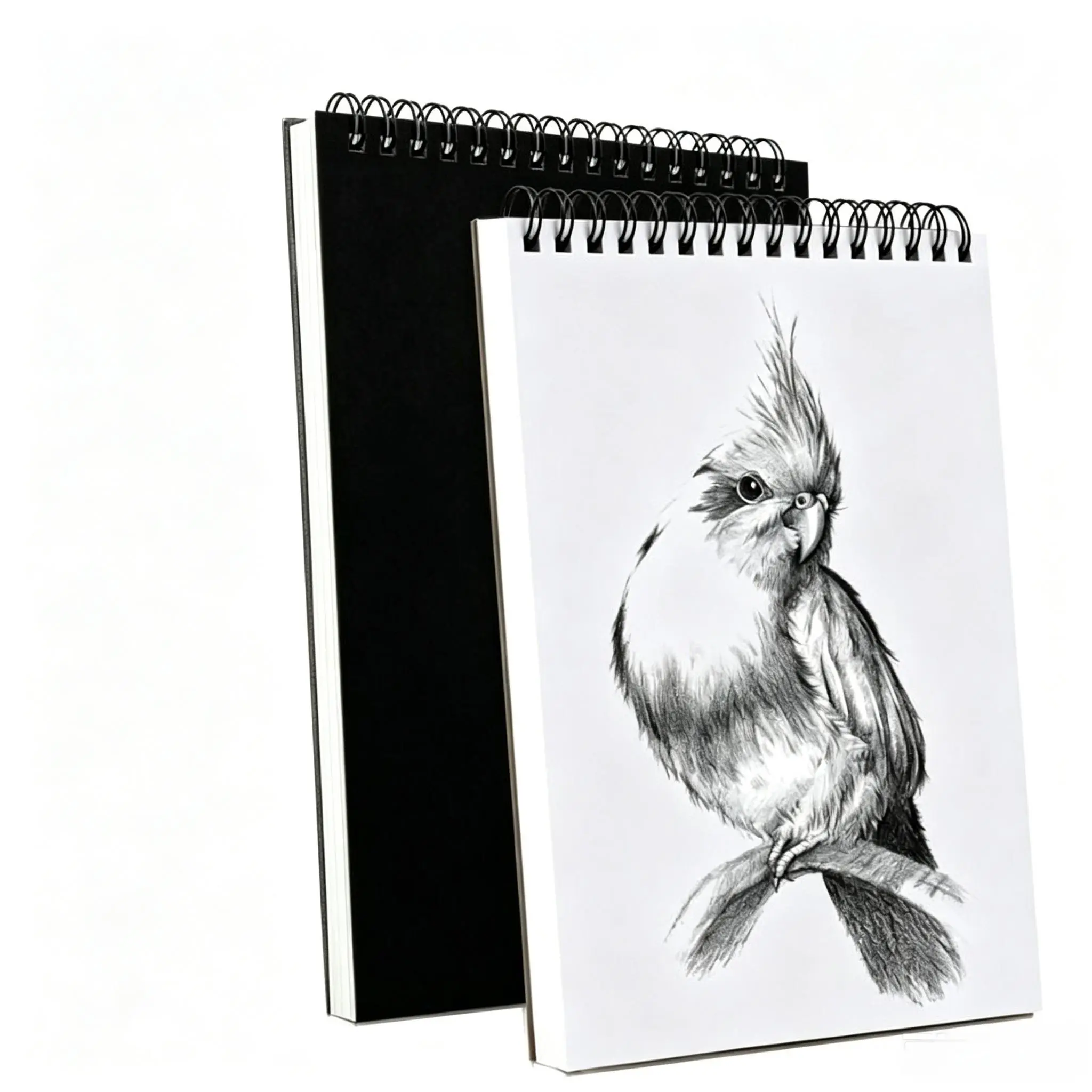 2 Pack Acid-Free Sketchbooks, Top Spiral Bound Drawing Pads, Perfect for Beginner Artists, Ideal Art Supplies for Drawing and Sketching, Durable Drawing Pad
