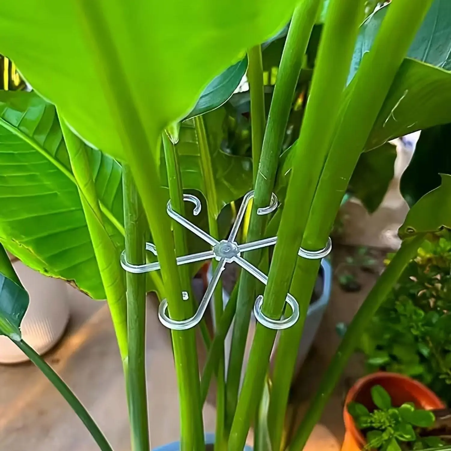26 New Plant Stem Support 8pcs Clamps, Flower Stem Organizer, Monstera Support Holder, Indoor Outdoor Garden Floral Greenery Anti-Fall Stand