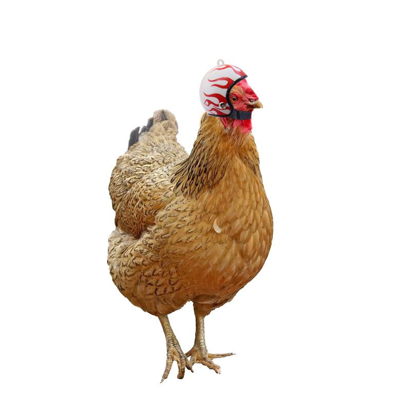New hot-selling helmet for chickens, pet supplies, funny safety hat, chicken hat, chicken helmet, protective headgear for pet chickens dog clothes Gold Plated Custom Collar shoes filter glasses Heated Windproof Winter Coat flotation device