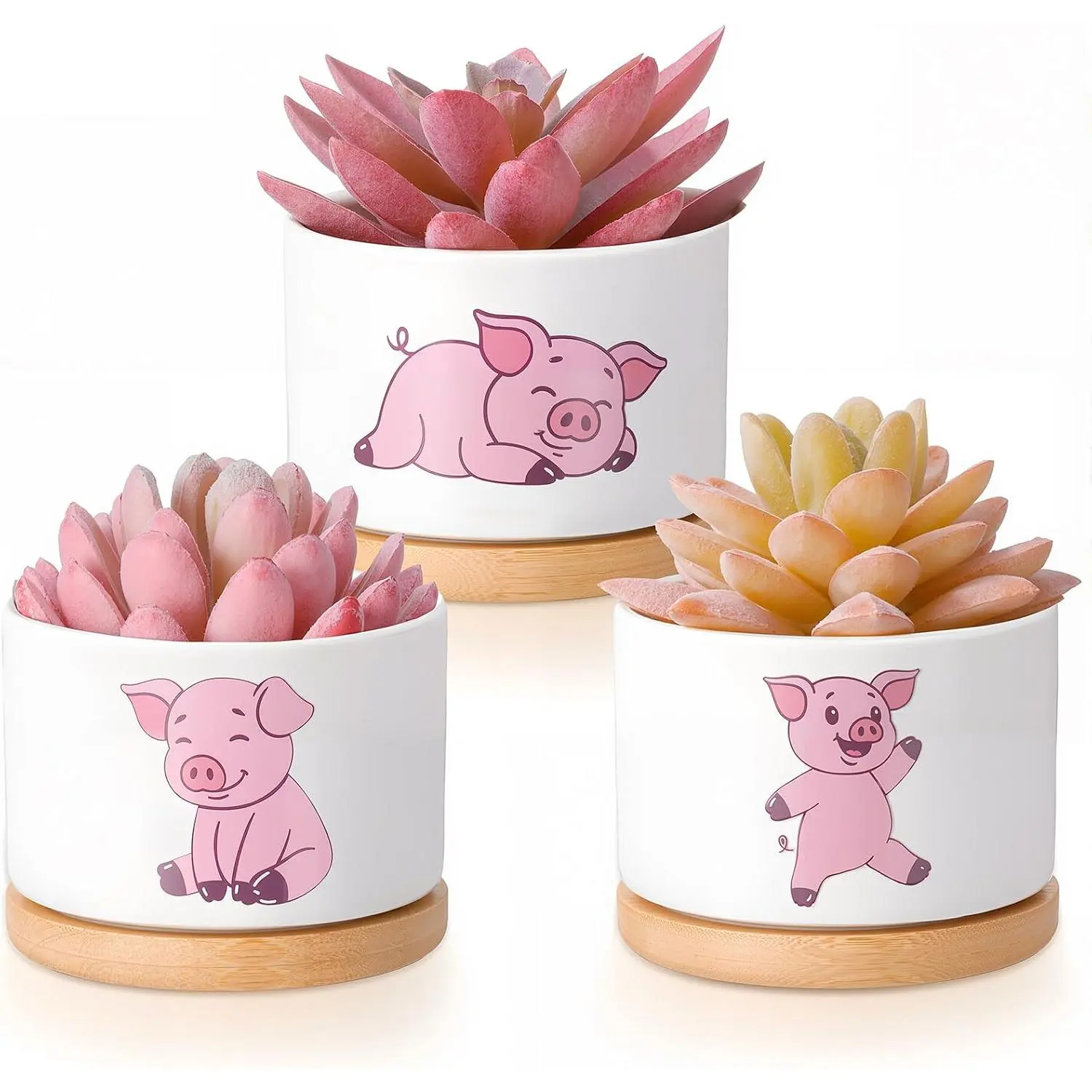3 count  Pig Gifts for Women Pig Planter Succulent Pots with Drainage and  Tray Small Ceramic Succulent Planters   Pot for Christmas Office  Decor  Lovers