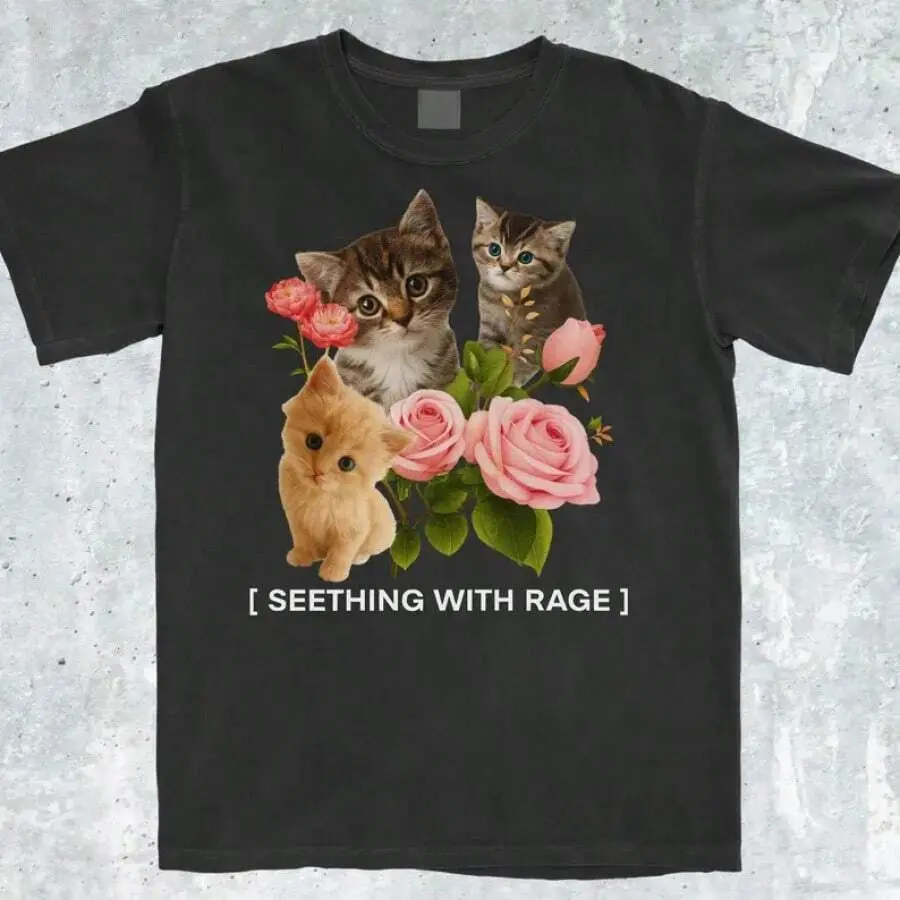 Funny Seething WIth Shirt, Funny Shirt, Popular Shirt, Viral Shirt, Offensive Shirt, Cursed Shirt, Y2k Tee-Unisex
