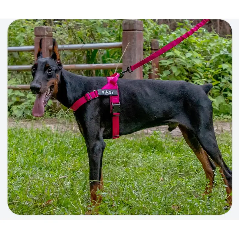 Easy-On Lightweight Dog Harness, Anti-Pull Leash for Medium & Large Dogs
