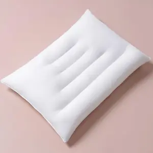 Flat Thin Pillows for Sleeping - Standard Size 1 Pack Slim Bed Pillows for Side Back Stomach Sleepers,2.5 inch Height Ultra Low Pillows,Down Alternative Filling
