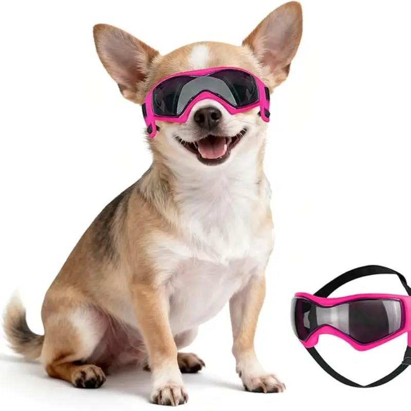 Pet Gear Dog Glasses Cat Safety Shades, UV Protective Cool Outdoor Sunglasses, PC Lens Silicone Frame, Adjustable Straps for Cars Hikes Beach