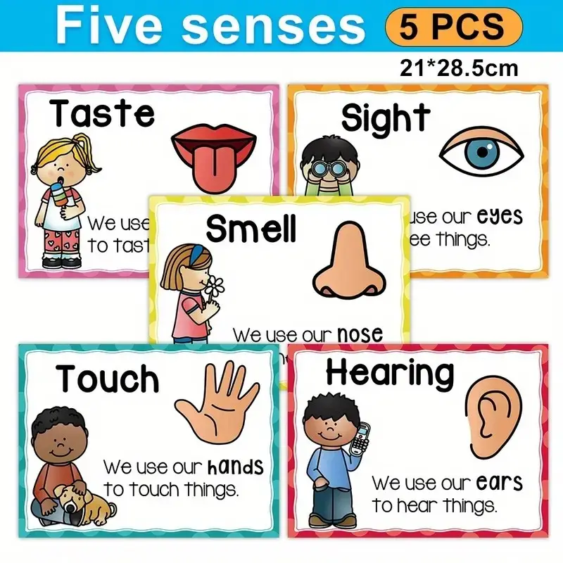 Five Senses Poster Set, Unframed Educational Charts, Ideal for Classrooms, Libraries, Game Rooms, Student and Teacher Learning Materials, Classroom Supplies, Preschool Learning Materials, Teaching Supplies