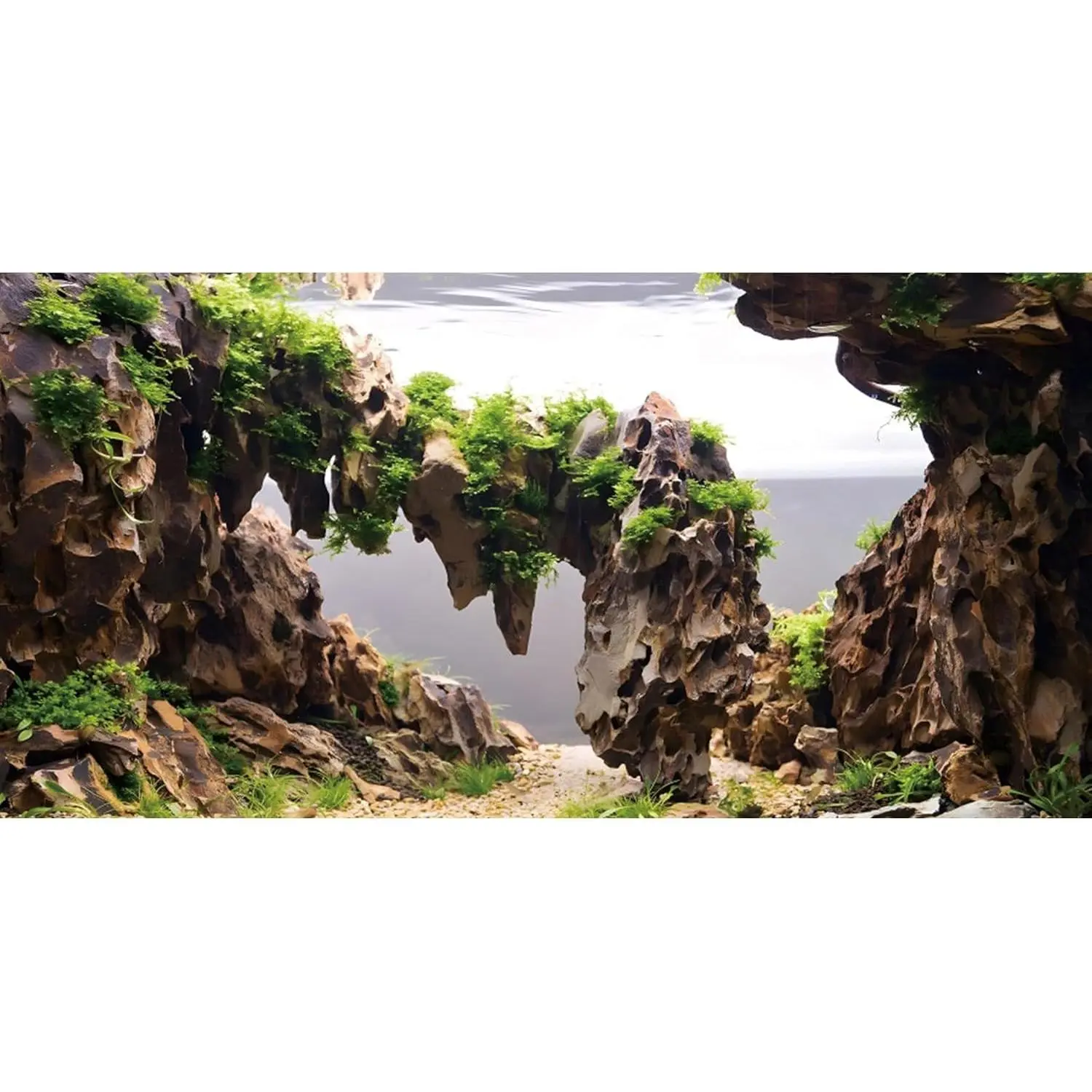 30x18 inches Viewing Stone Fish Tank Background Aquatic Plant River Bed & Lake Aquarium Background Seaweed Aquarium Vinyl Background