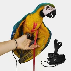 Adjustable Bird Harness with 78.7 Inch Leash, Outdoor Flying Training Traction Rope Kit for Small Medium Large Birds Parrots, Size M