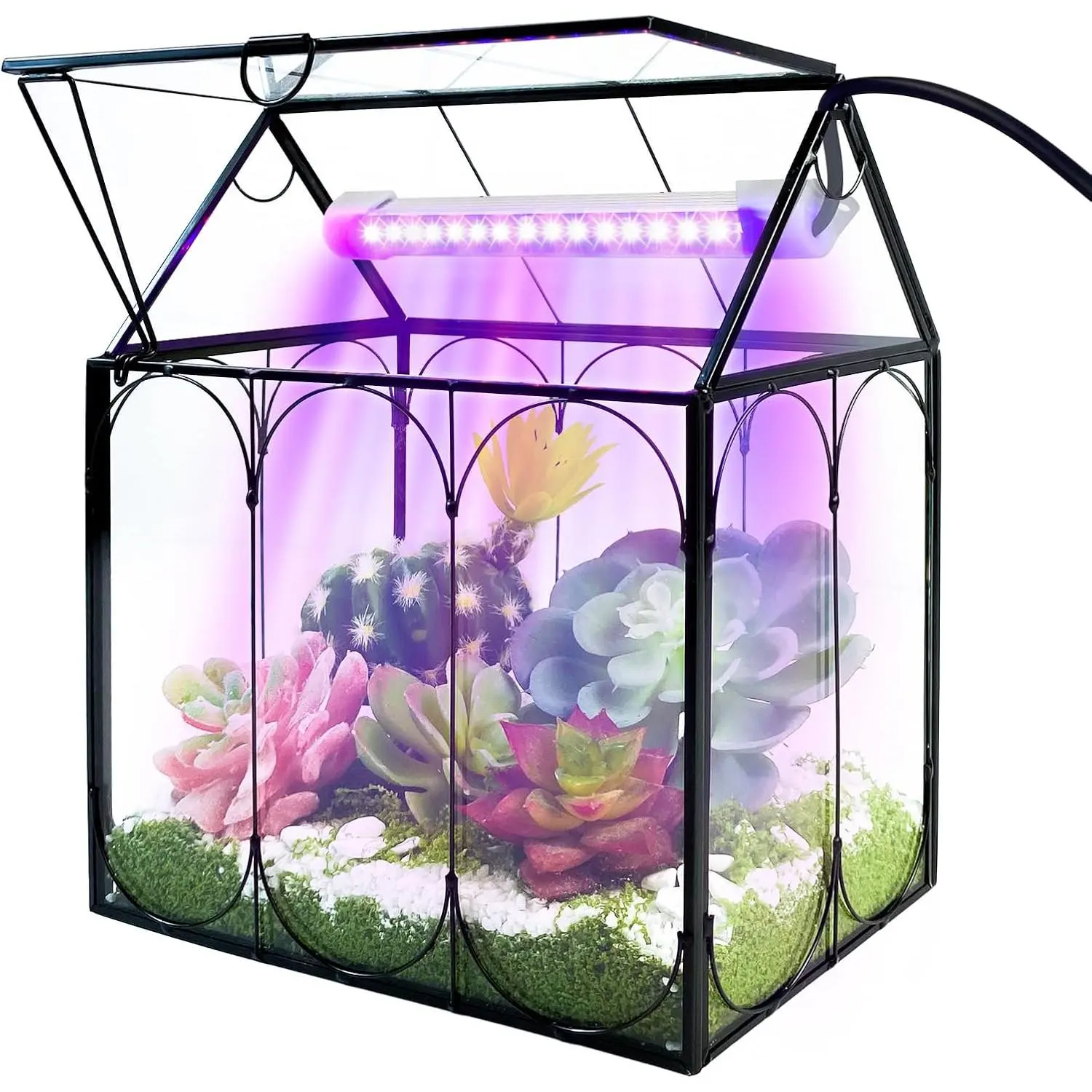 Terrarium Kit with Grow Light,  Small Glass Terrarium Jar with Absorbent Mat and Lid for Venus Fly  Succulent Live Air  Indoor  Office Decor (Black, 7.1 x 4.8 x 8.8 inch)