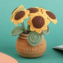 2 Pieces Crochet Hook Set, Suitable for Beginners, Flowers Crochet Hook Set, Crochet Starter Kit Potted Plants with Step-by-Step Video Tutorial, Suitable for Beginners and Adults (Daisies and Sunflowers)