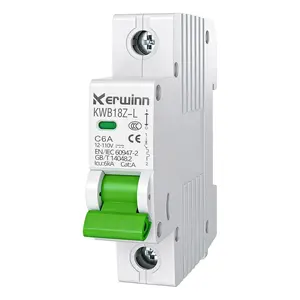 DC Miniature Circuit Breaker, 12V-110V Circuit Breaker 1Pole 6Amp Breakers DIN Rail Mount（mcb） for DC Systems,Battery Power Systems, Solar photovoltaic Systems, RV.(C6A)