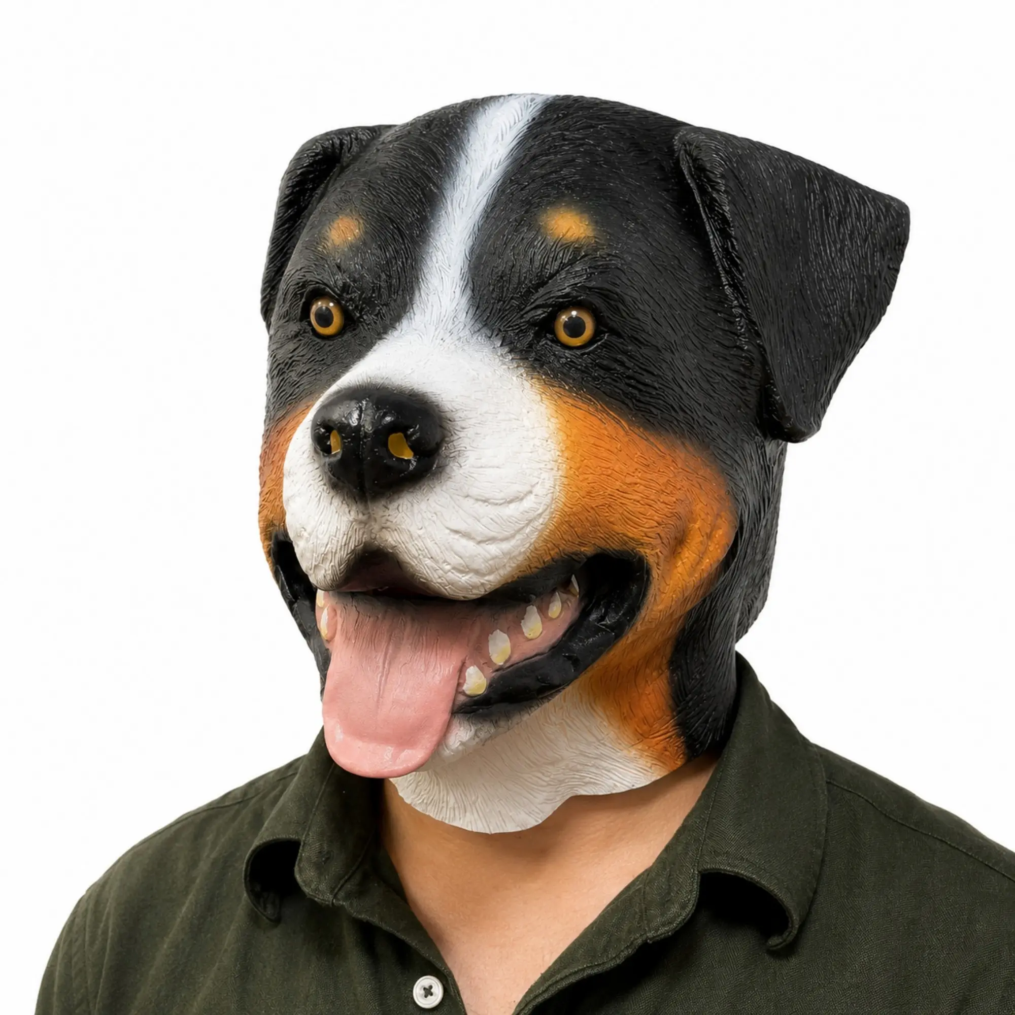 Derby Bernese Mountain Dog Latex Mask for Adults, Realistic Funny Animal Head Cover, Perfect for Halloween, Cosplay, and Pet Videos, Gift