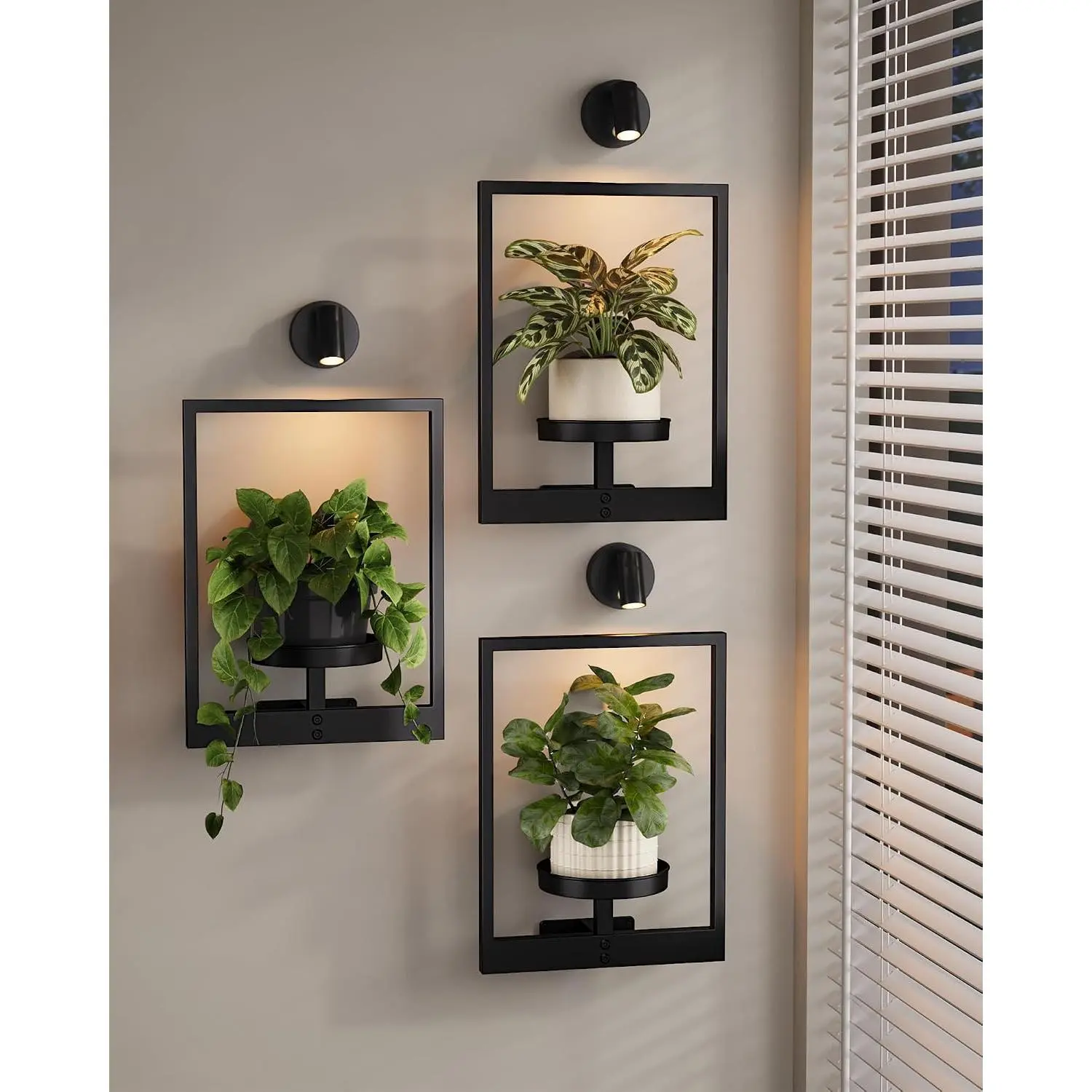 Hanging Planters for Indoor Plants Wall Decor Living Room Plant Stand Indoor Wall Planters Plant Hanger Window Plant Shelves 3-Packs with Lights