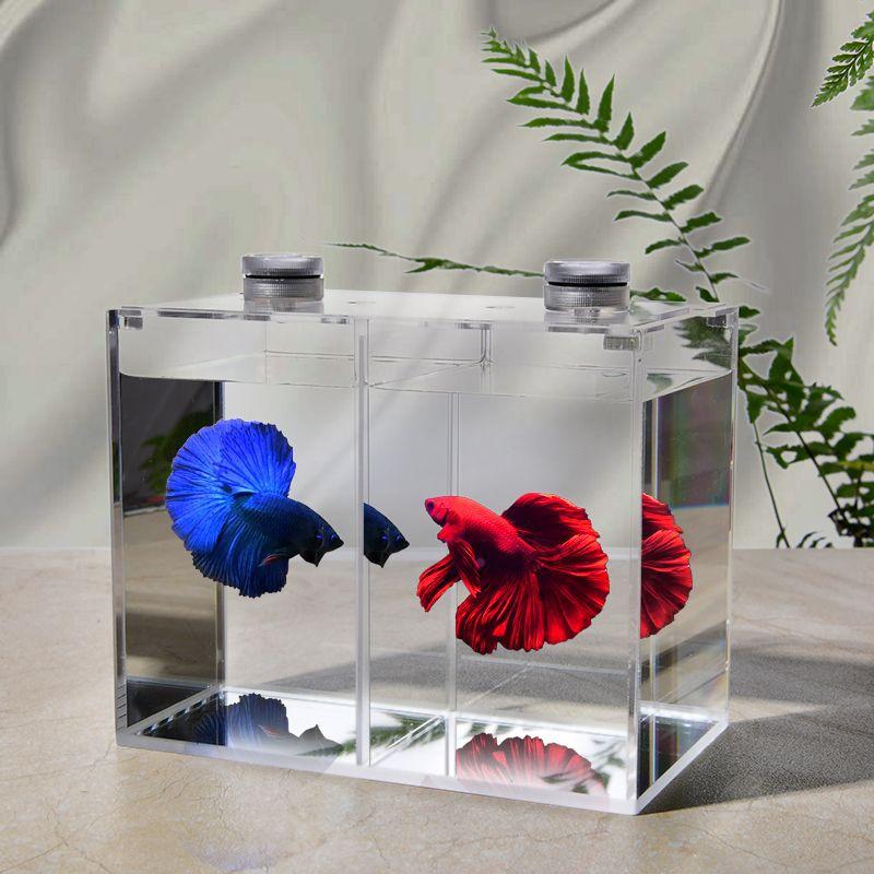 Master Fish Tank Acrylic Fighting Fish Tank Sparring Tank Double Tank PK Tank Small High Definition Explosion Proof Tank