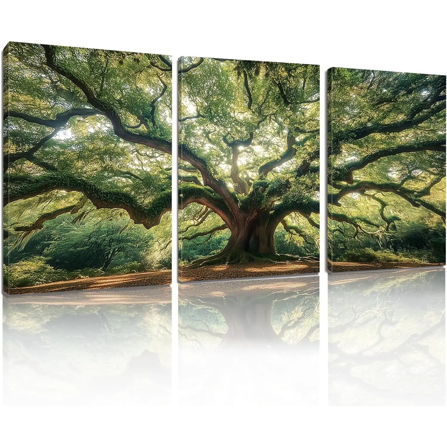 2D FlAT Printing 3Pcs Framed Wall Decor Angel Oak Tree Landscape Canvas Art, Elegant Nature Botanical Wall Mural For Living Room Bedroom Bathroom Office Home, Birthday Housewarming Gifts, Christmas Thanksgiving Mother's Day Holiday Presents