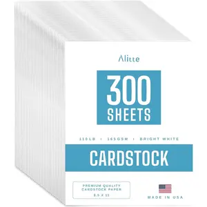 300 Pack White Card Stock Printer Paper 8.5 x11 110 lb Heavyweight Thick Premium Smooth Sheets Printer Compatible for Crafts Cards and Business