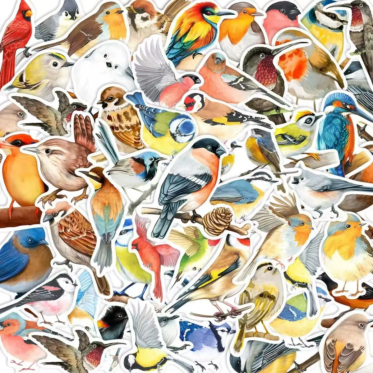 50Pcs Realistic Wild Bird Stickers Pack, Waterproof Multicolor Garden Bird & Nature Animal Vinyl Decals for Water Bottle, Laptop, Journal & Scrapbook, Bird Lover Gift