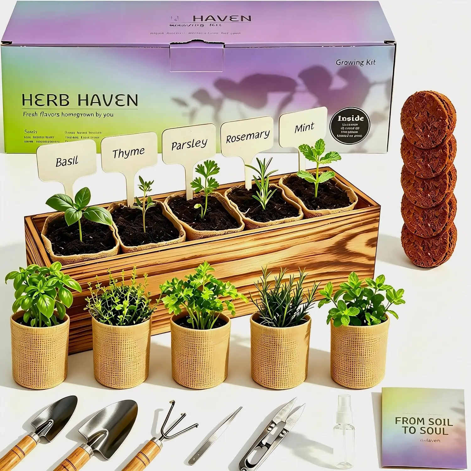 5  Garden Kit with Wooden Box – Basil, Thyme, Parsley, Rosemary, Mint – Windowsill  Garden for Kitchen – Mother’s Day  for Mom, Gardening  for Women – Birthday Housewarming