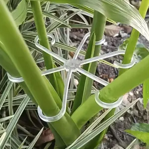 4 Pack Gardening Reusable Branch Ties, Multifunctional Plant Stem Bundling Support & Garden Decoration Accessory