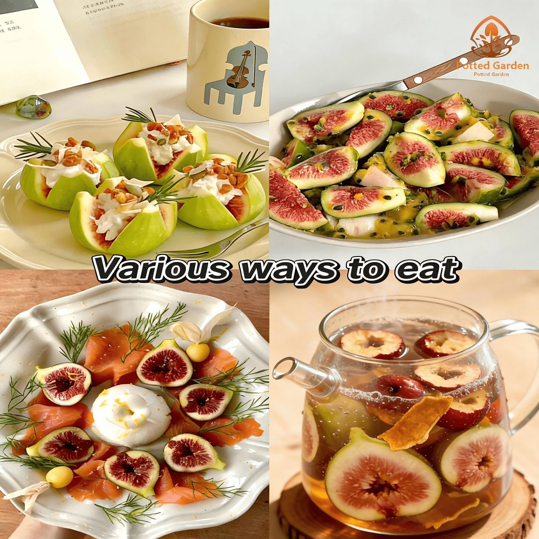 Fig tree seedlings, easy to pick, low cost, sweet fruit, first choice for beginners when on the ground or in pots