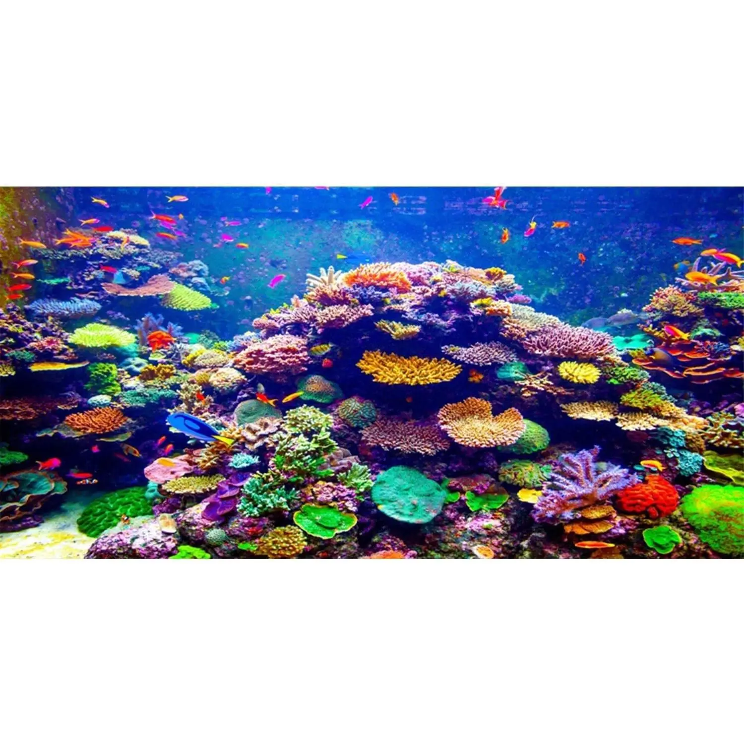 AWERT Undersea Theme Aquarium Background 36x24 inches Durable Polyester Background Colorful Coral Tropical Fish Underwater World Fish Tank Background