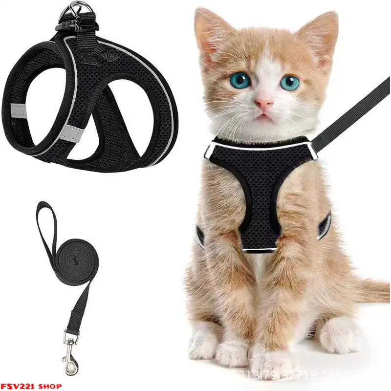 Breathable mesh cat harness and leash set; an adjustable, escape-proof vest suitable for outdoor walks with small cats. Includes a matching leash, perfect for outdoor adventures. Suitable for both kittens and adult cats. campingessentials