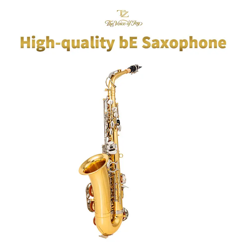 TZ E-flat Eb Alto Saxophone - Gold Lacquer Brass Body Instrument, Junior/Intermediate Student Music Learning Kit with Case, Lid, Reed, Strap and Brass Carving Pattern, Instrument Kit