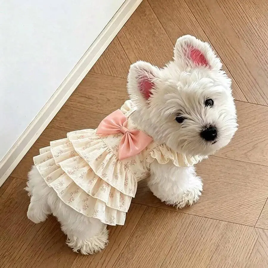 Dog Polka Dot Lace Dress Pet Clothing Princess Dress Kitten Dress Summer Thin Puffy Tulle Skirt
