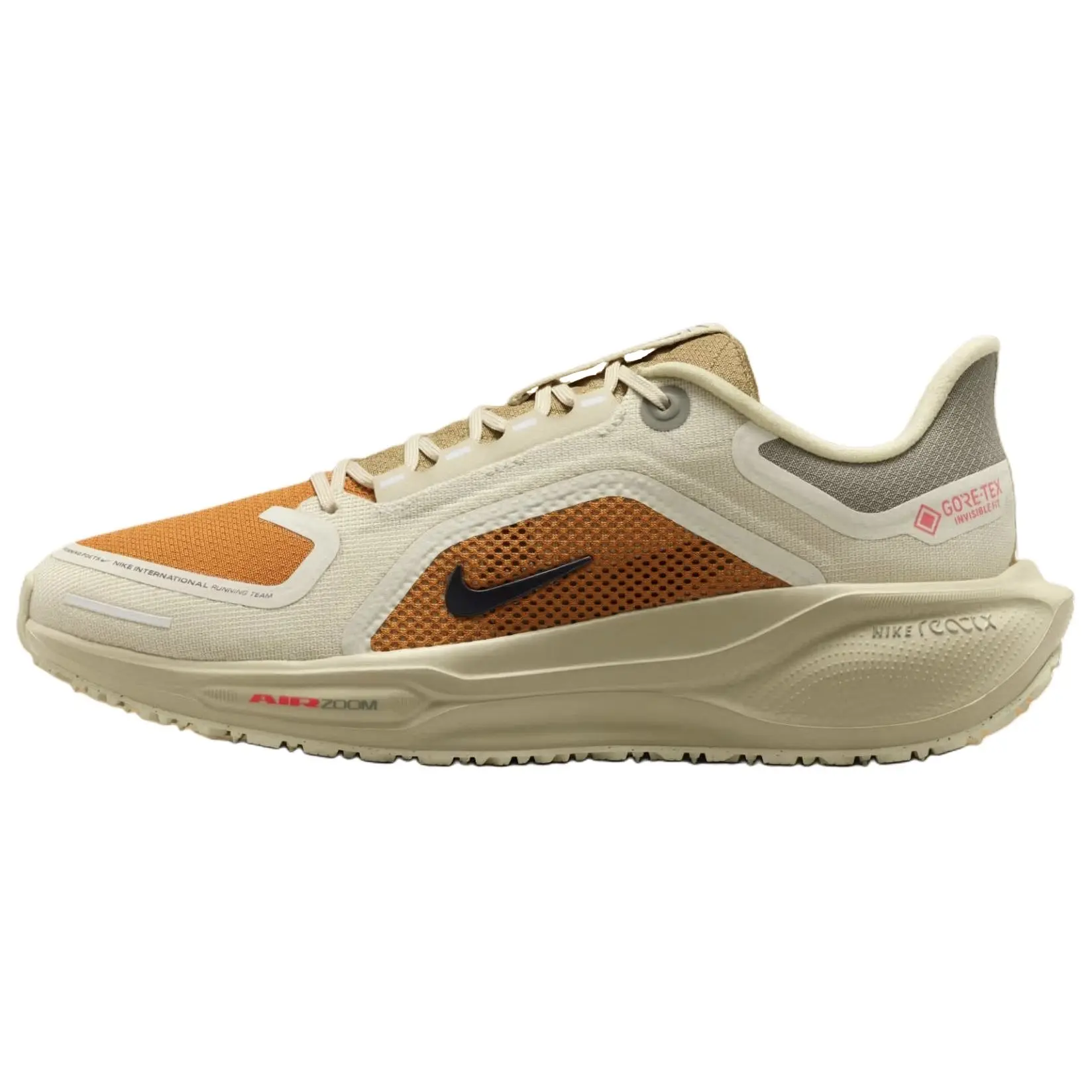 Nike Pegasus 41 GORE-TEX 'Running Poets' IM6700-852