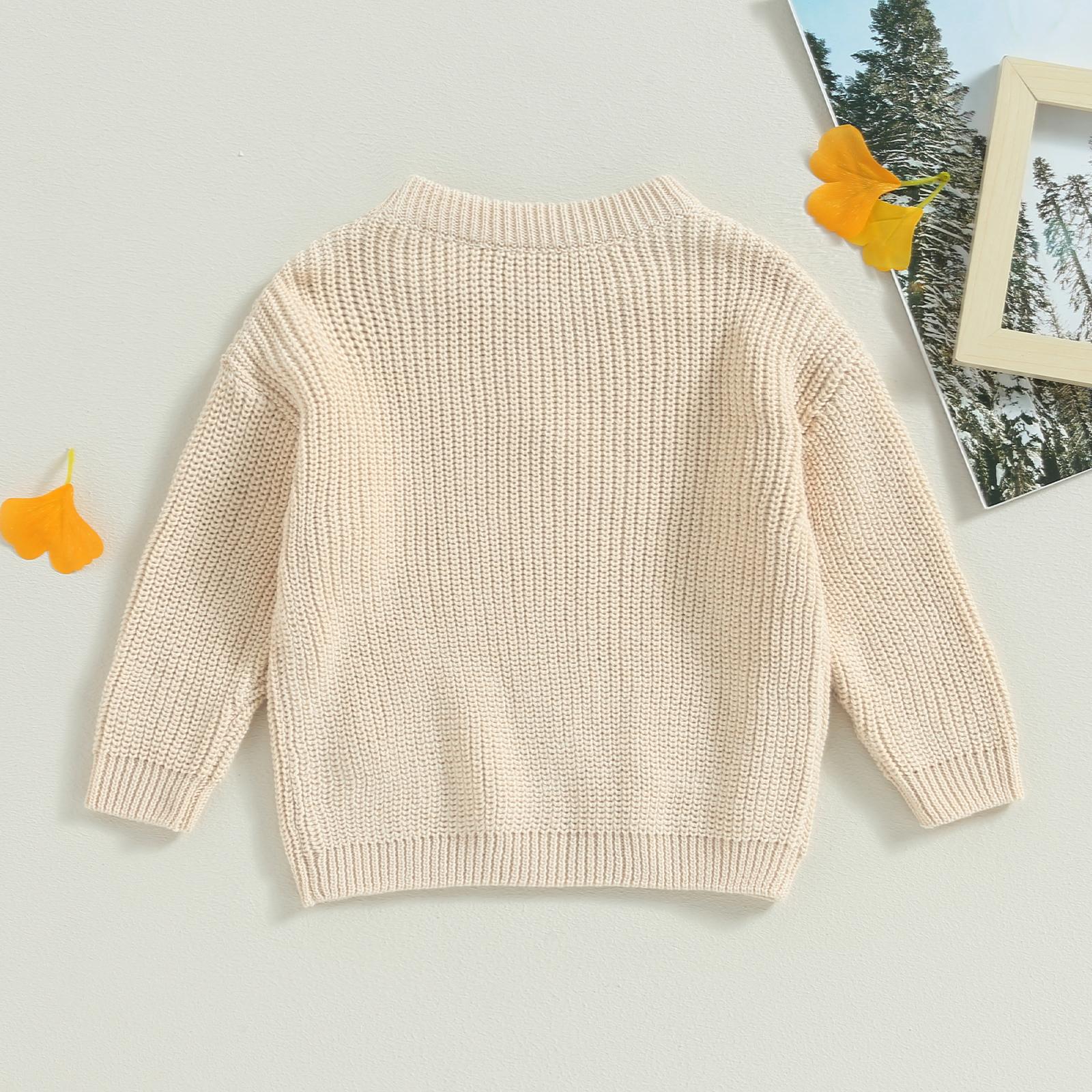 Toddler Baby Girl Knit Sweater Blouse Pullover Sweatshirt Flower Embroidery Warm Long Sleeve Tops 0-5 Years