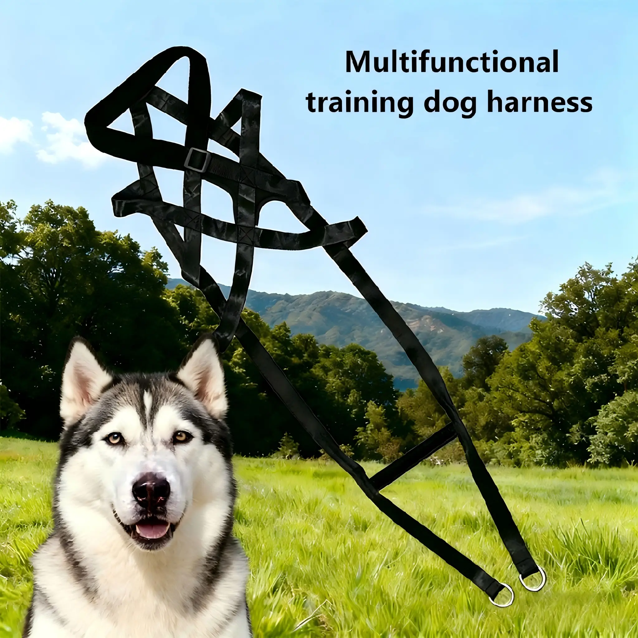 Adjustable Nylon Harness for Large Dogs, Walking Harness, Work Training & Sled Dog Back Support, Extra Durable Fabric Pet Supplies