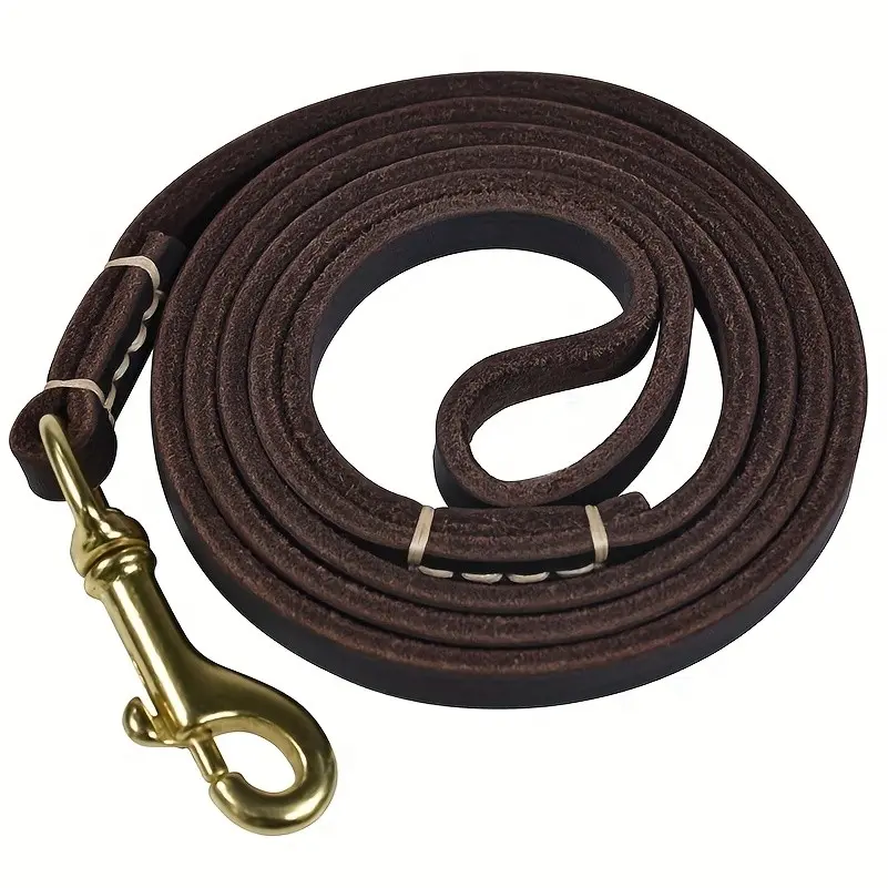 Ultra Durable Braided Leather Dog Leash, Soft Comfort Handle, 360° Swivel Hook, Ideal for Daily Walking & Puppy Training