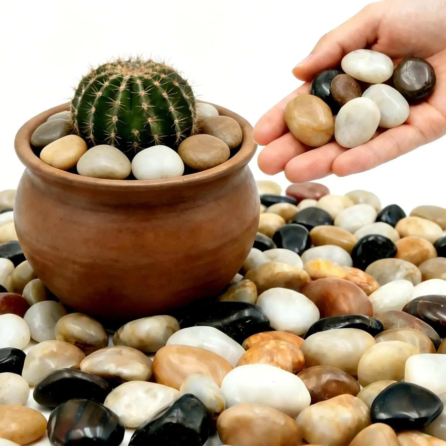 1-2 Inch Mixed Color River Rocks, 12LB Polished Natural Decorative Pebbles for Indoor Plants, Planters, Vase Fillers, Fish Tank Rocks, Aquarium Decor, Garden Landscaping & Outdoor DIY