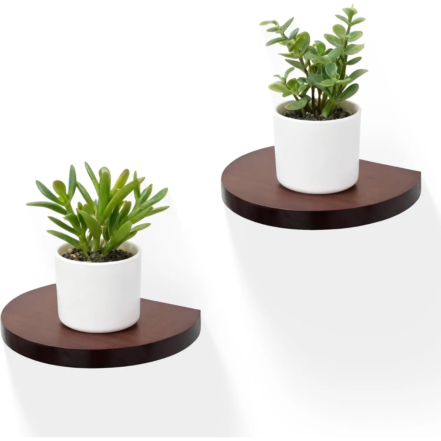 Small  Floating Shelves (2-Pack, 6-inch Diameter) - Round Sturdy Invisible Wall Mount Display for Small ,Toys,Bathroom,Living Room Storage & Modern Rustic Décor (Dark Walnut)