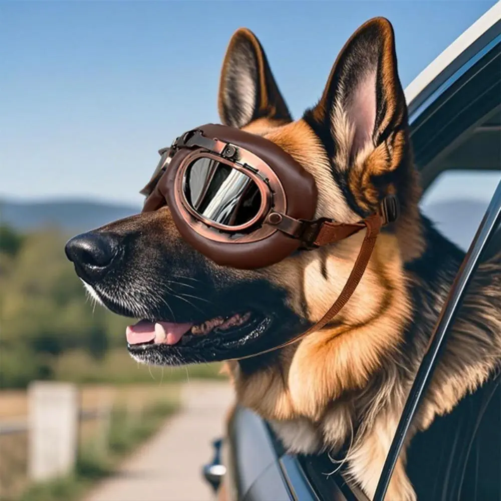 Vintage Foldable Frame Pet Eye Wear, UV Blocking Windproof Dustproof Impact Resistant Adjustable Dog Goggles for Medium-Large Breeds (German Shepherd, Border Collie), Windproof Fit