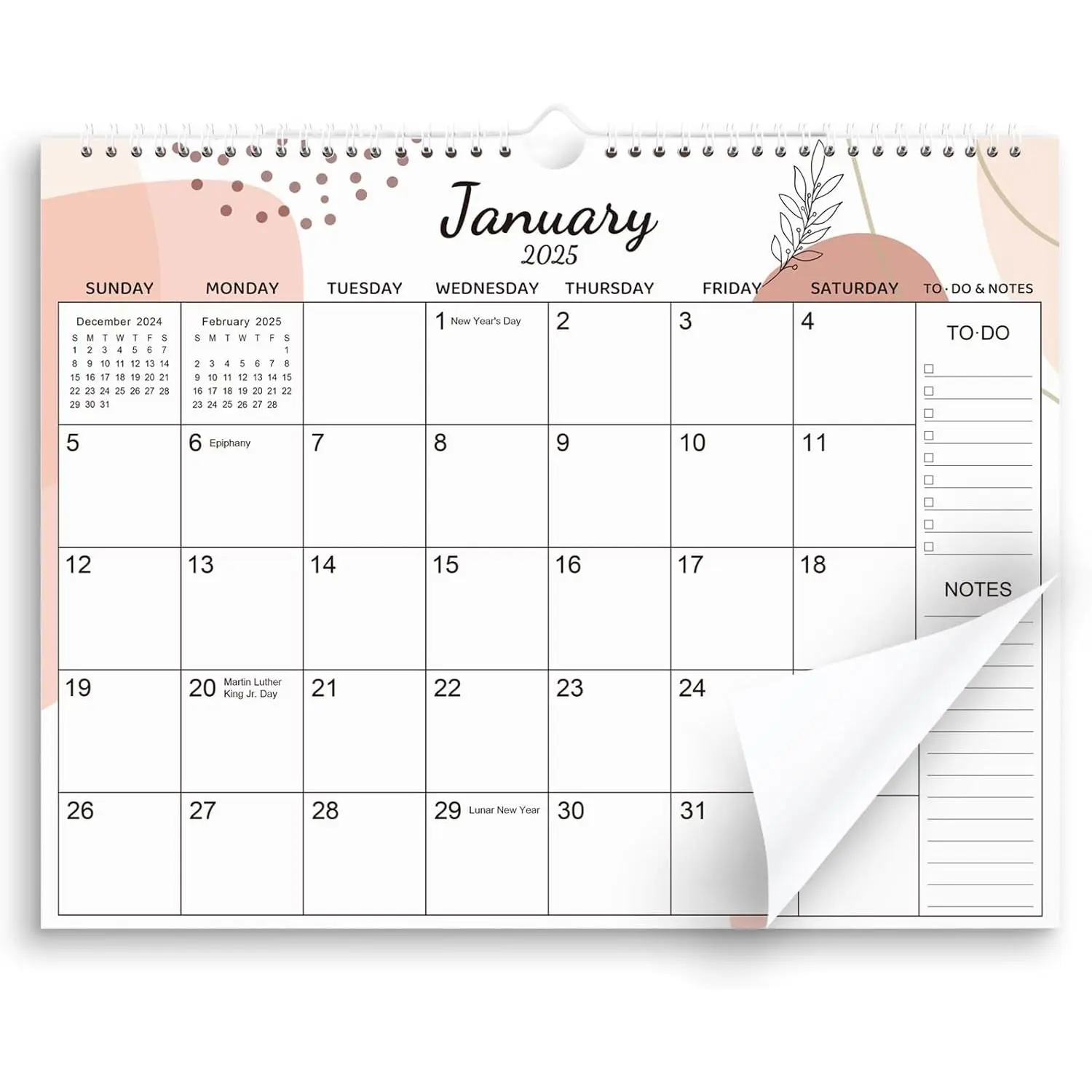 Wall Calendar 2024-2025, Calendar Planner 14.5" x 11.5", Sketch 2024 Monthly Calendar, July 2024 to December 2025, 6 Aesthetic Designs 2024-2025 Spiral Calendar for Easy Organizing & Planning