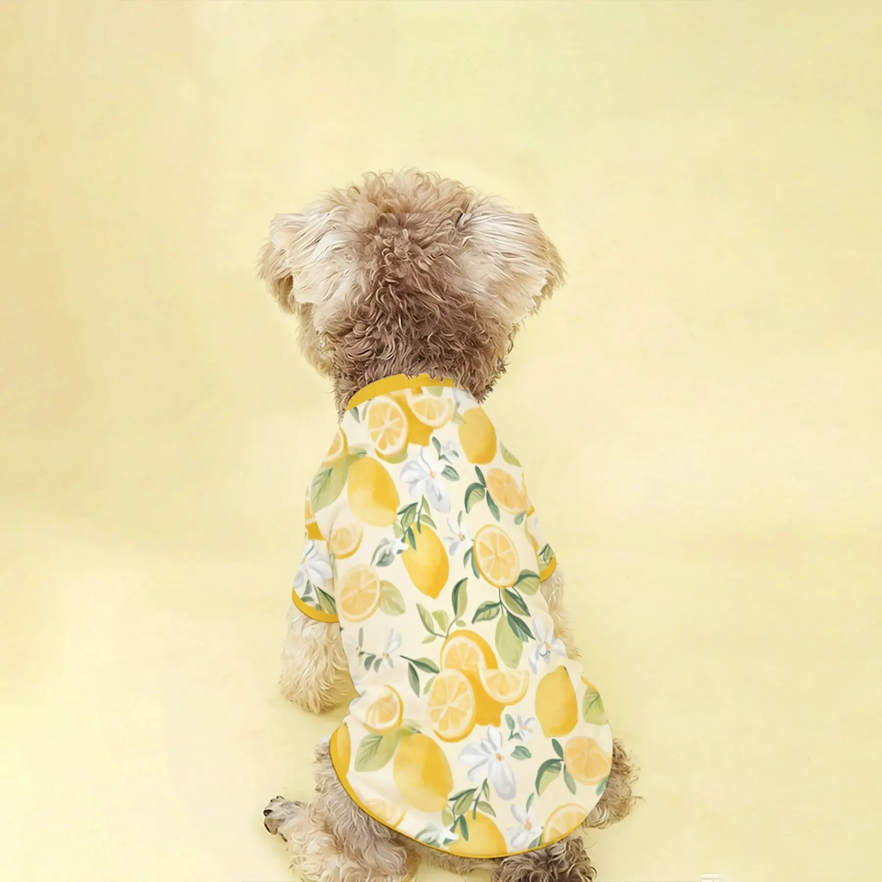 1pc All Season Pet Clothes, Hand-Painted Lemon Print, Soft Breathable Lightweight Short Sleeve T-Shirt for Dogs and Cats, Cute Daily Wear