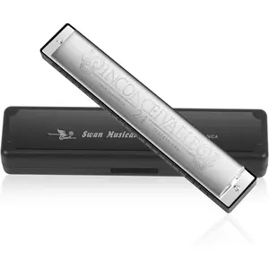 Harmonica Professional Harp Armonica Key of C 24 Hole Polyphony Diatonic Mouth Organ with Case for Blues Folk Jazz Pop for  Student Teacher Beginner