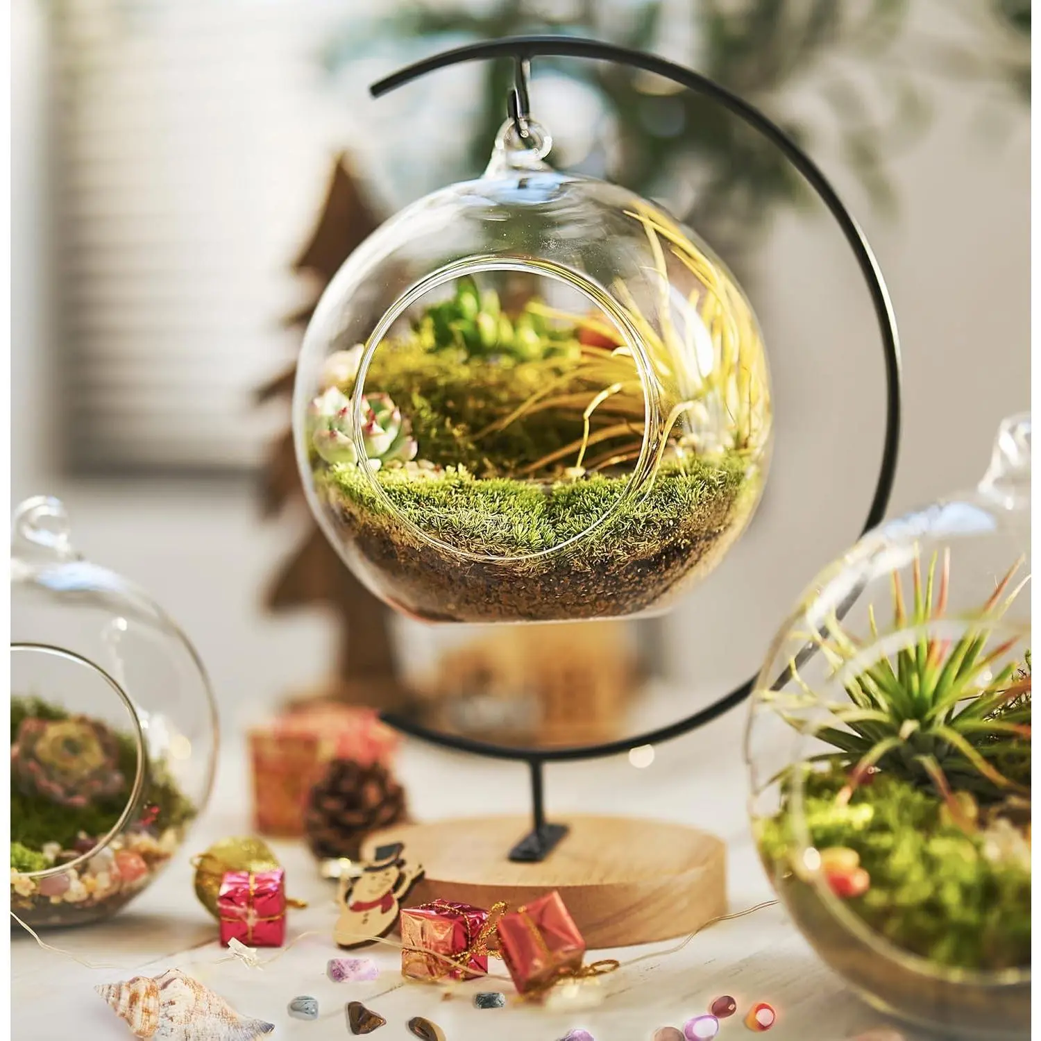 15-Piece Terrarium DIY Set with Live Moss - Glass Globe Kit with Tools, Soil, Stones, Spray Bottle - Indoor Mini Garden Gift for Plant Lovers, Room Decor & Zen Craft, Home