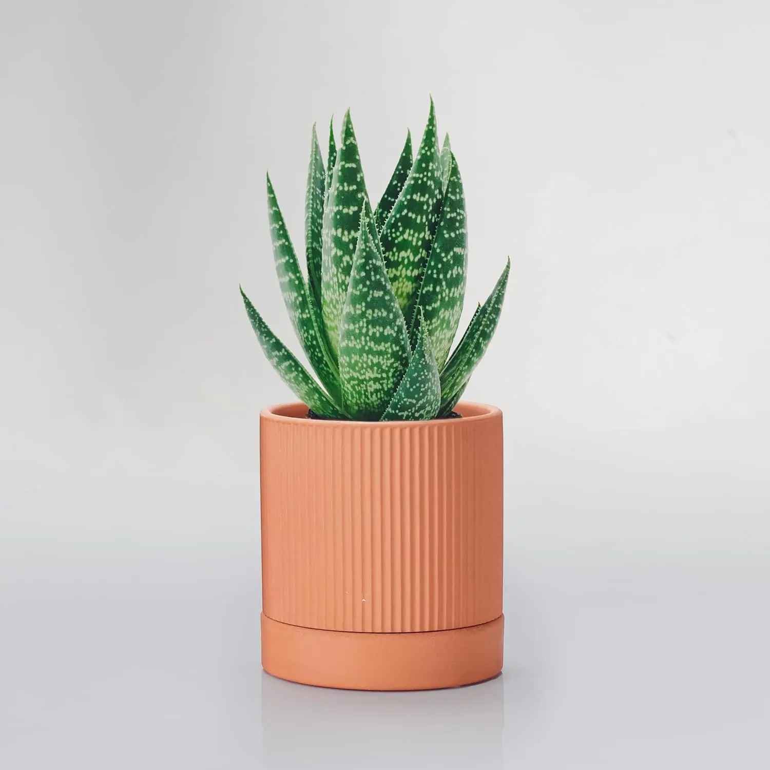 Small Modern Terracotta Pots, 4.2 Inch Ribbed Textured Clay Planter Pots with Drainage Hole & , Garden Pots for Indoor  Succulent, Cacti & Fern, Set of 2