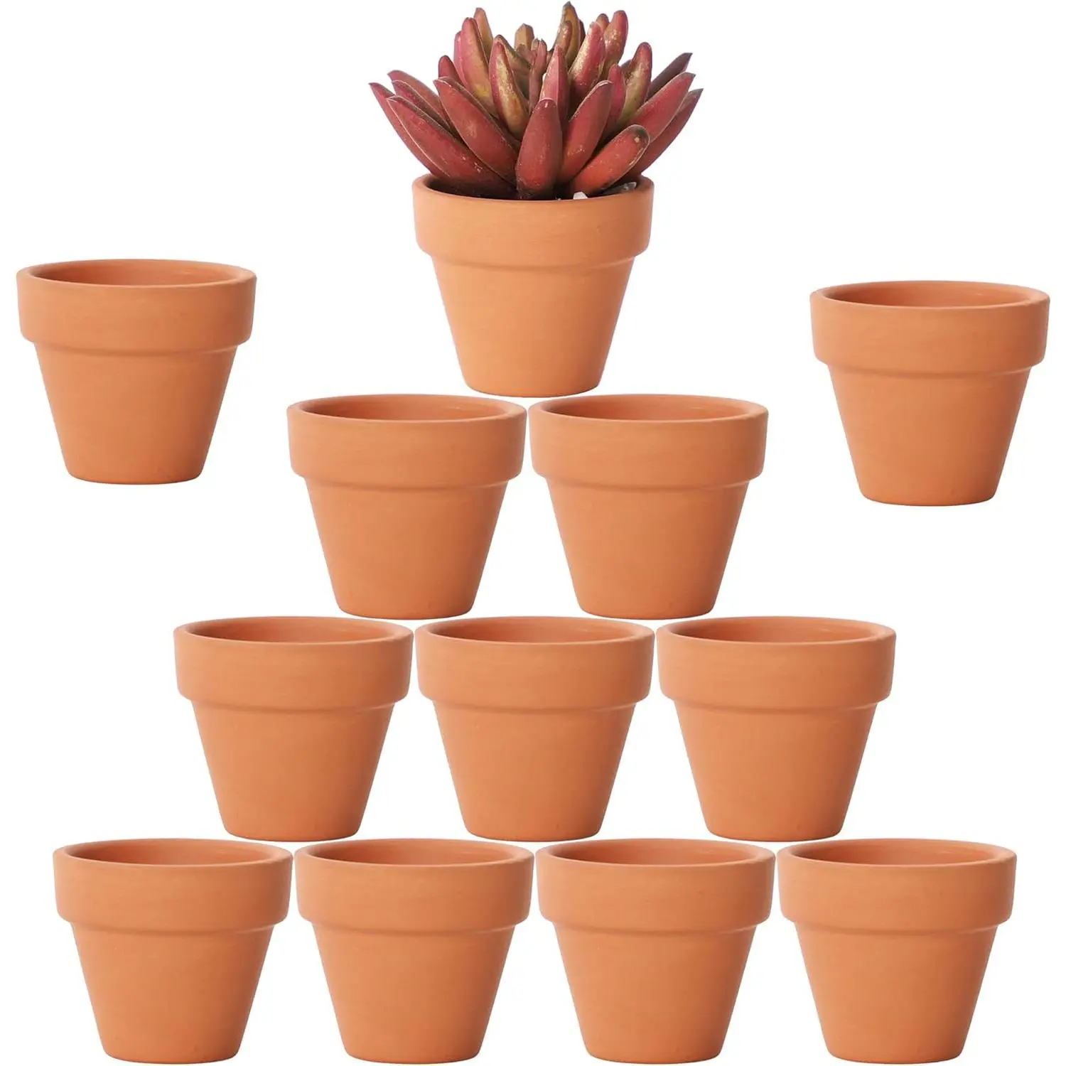 1.9"x1.6" Terracotta Clay Pots Set of 12 - Small Mini Planters with Drainage Holes for Cactus, Succulents, Room Decor, DIY Crafts