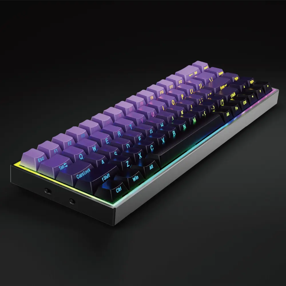 Hot Swappable 68 Keys Gaming Keyboard with Side Printed PBT Keycaps Blue Switch Mechanical Keyboard for Laptop PC Gamer Keyboard