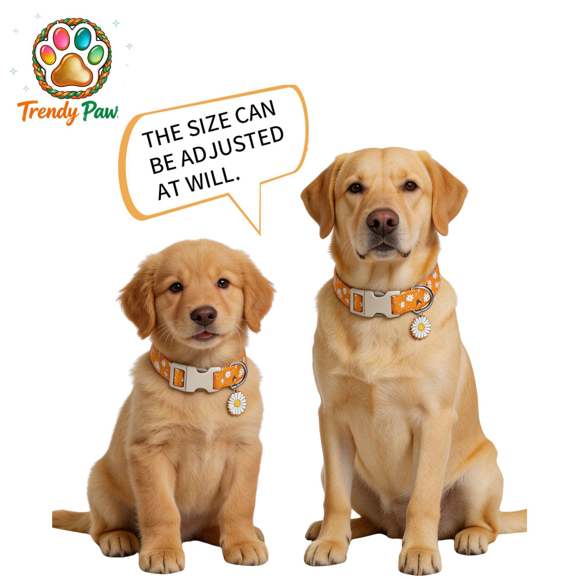 Personalized Bee & Daisy Dog Collar - Cute Orange Floral Collar with Quick Release Buckle, Adjustable & Durable for Small Medium Dogs Cats