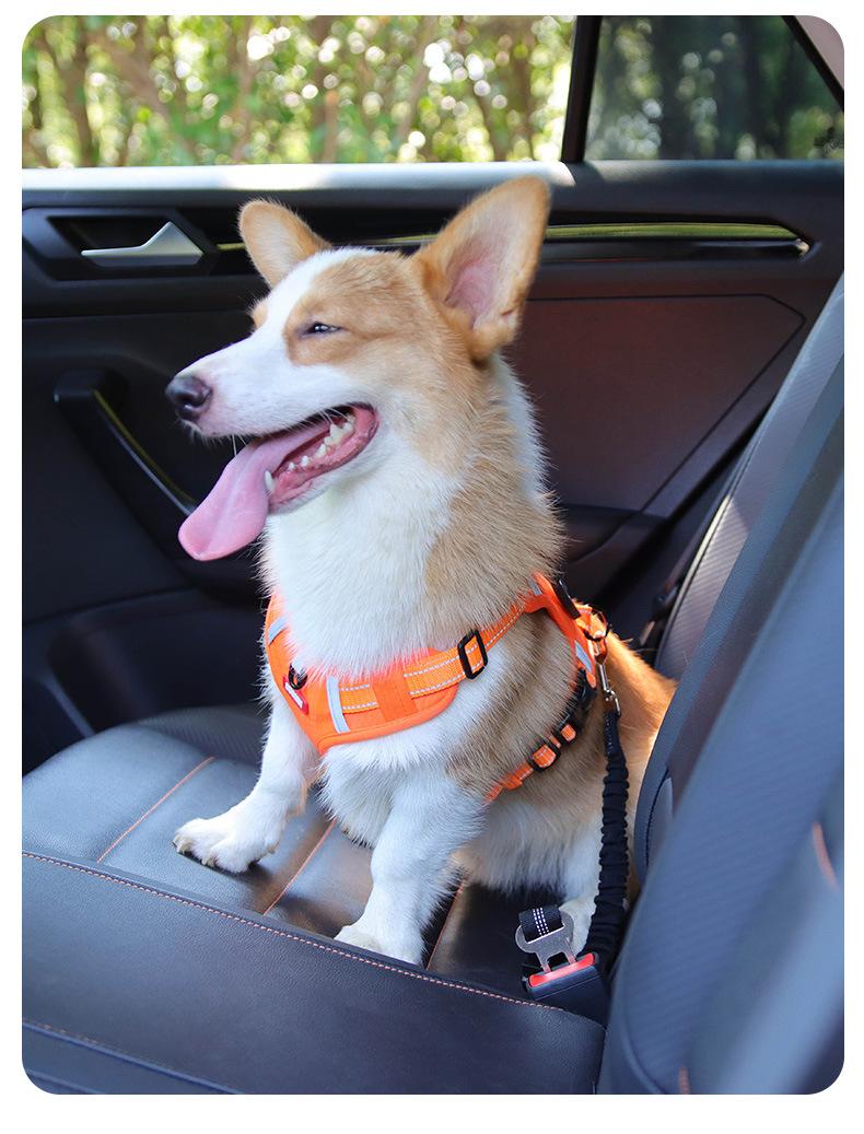 Dog Car Safety Seatbelt, Retractable Bungee Dog Leash, Shock Absorbing Reflective Safety Leash with Steel Buckle, Adjustable Length 20.87-29.53in for Pet Travel, Heavy Duty Vehicle Restraint for Small Medium Large Dogs, Anti-Pull Comfort Walking Leash