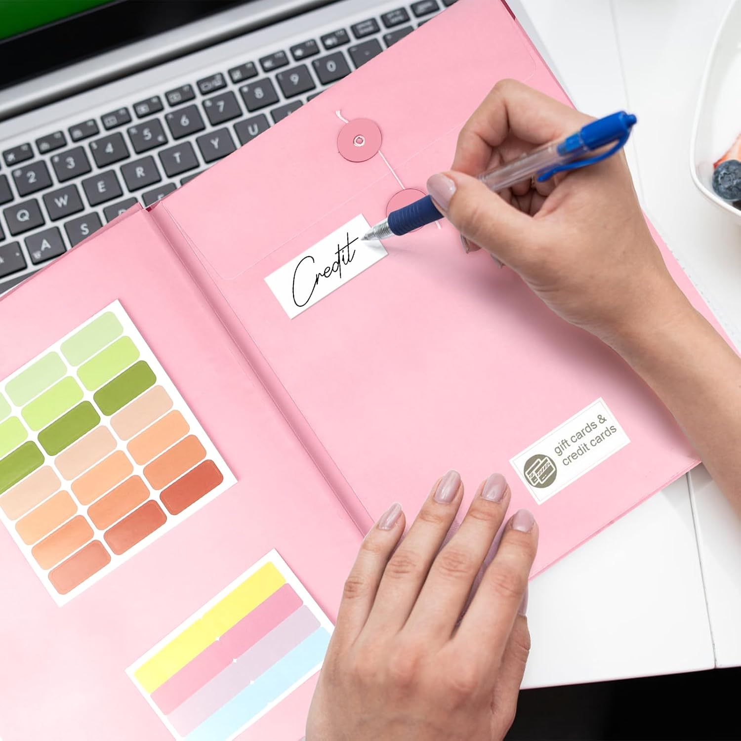 Document Organizer, File Folder with Labels and Pockets, Expanding Storage Folder for Important Papers,  Binder, Birth  and Letters, Ideal for  Files Organization ()