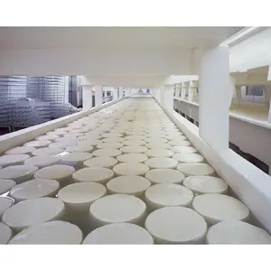 Microbial Rennet Coagulant Cuajo Caglio Presüre Lab add 3ml for 10 L of milk