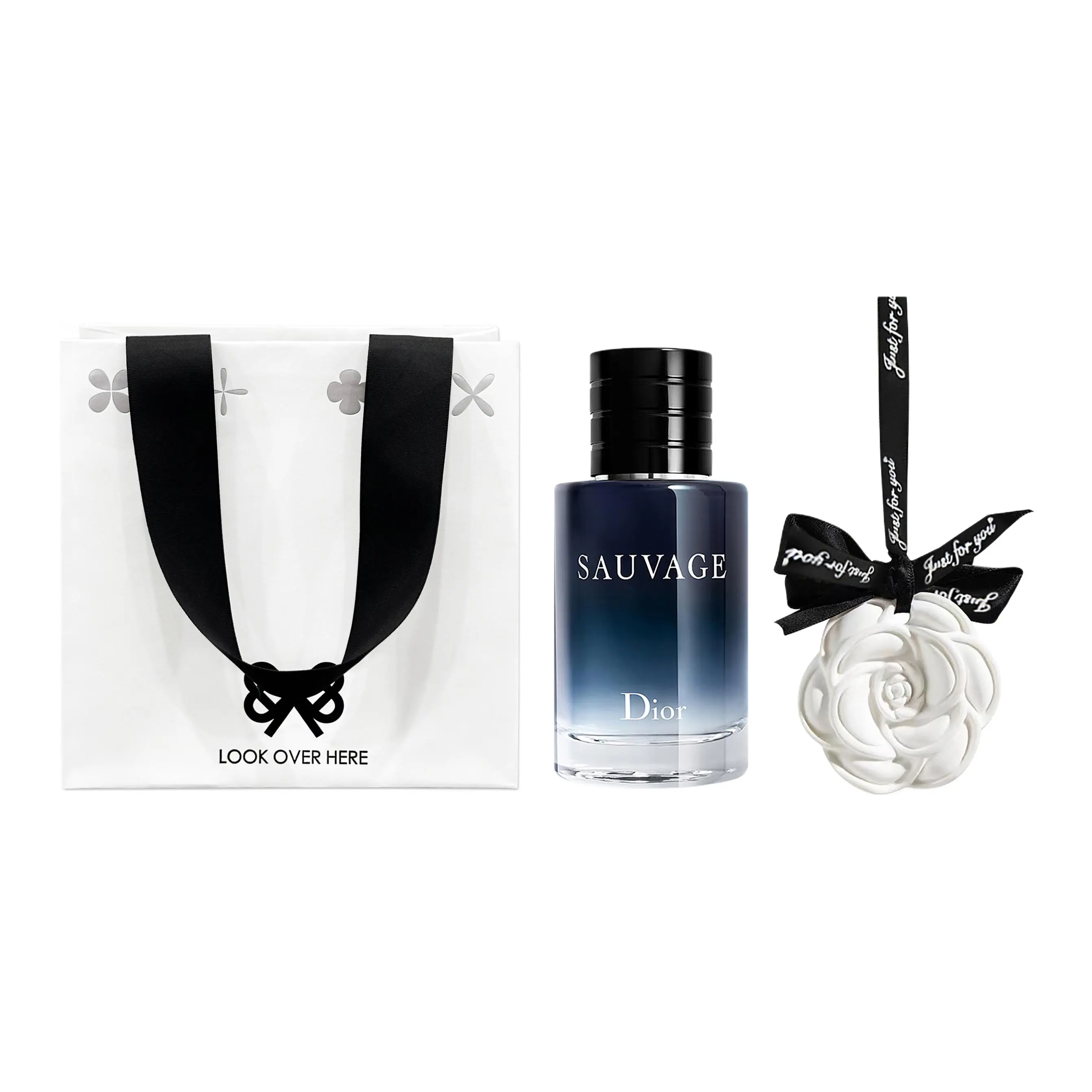 DIOR Wild Men's Perfume Sample Set Aromatherapy Galaxy Shopping Bag, Fougere Eau De Toilette