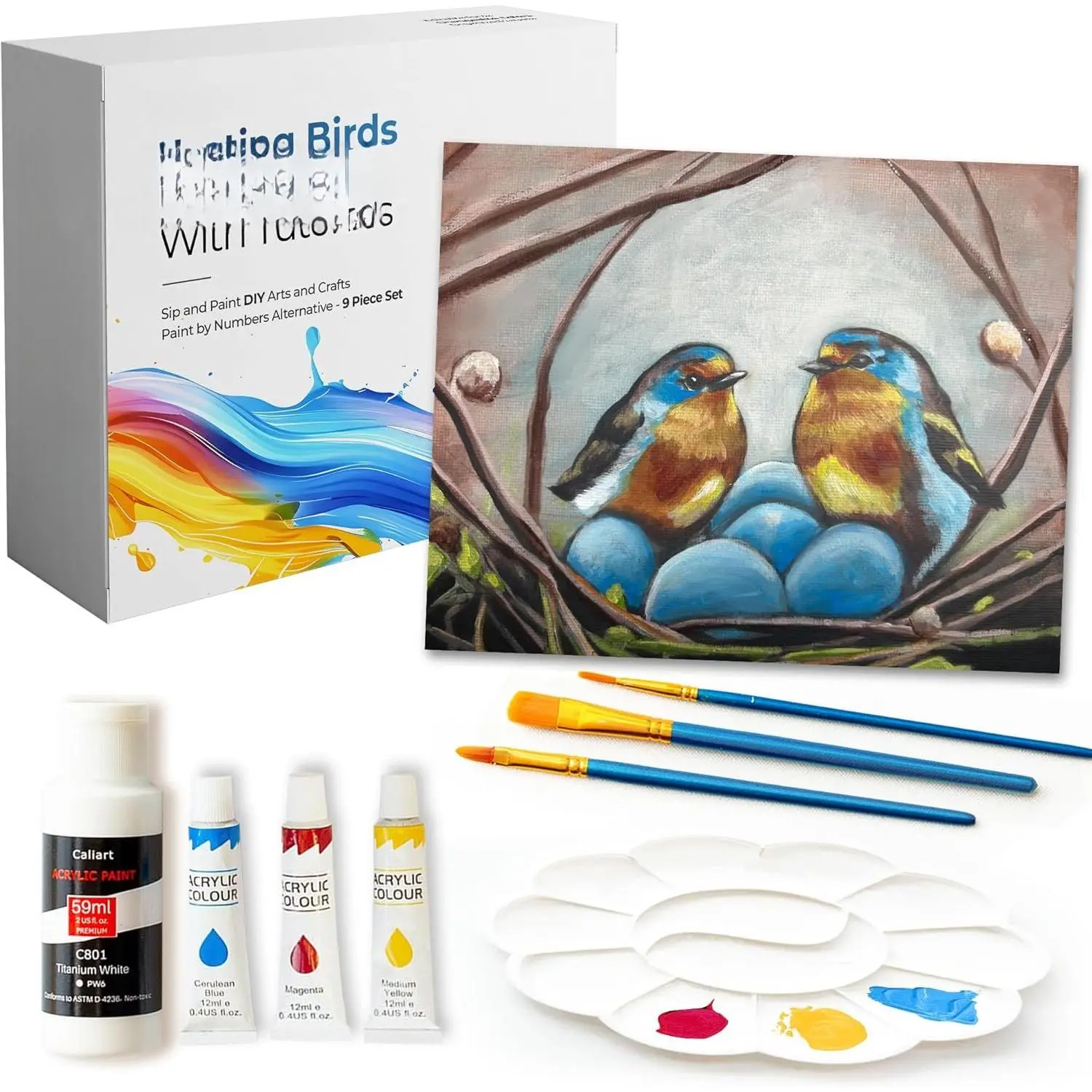 DIY Painting Class Kits for Adults with Video Tutorials, Learn to  Nesting Birds, How to  with   Sets for Adult, 9 Peices Art Set & Painting Supplies Gifts for Mom